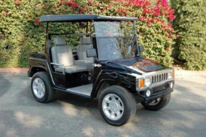 affordable golf cart rental, golf cart rent new smyrna beach, cart rental new smyrna beach
