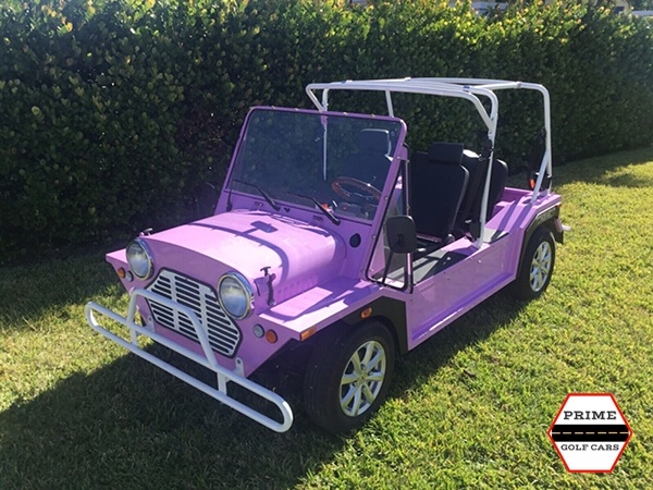 affordable golf cart rental, golf cart rent new smyrna beach, cart rental new smyrna beach