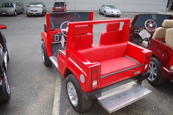 affordable golf cart rental, golf cart rent new smyrna beach, cart rental new smyrna beach